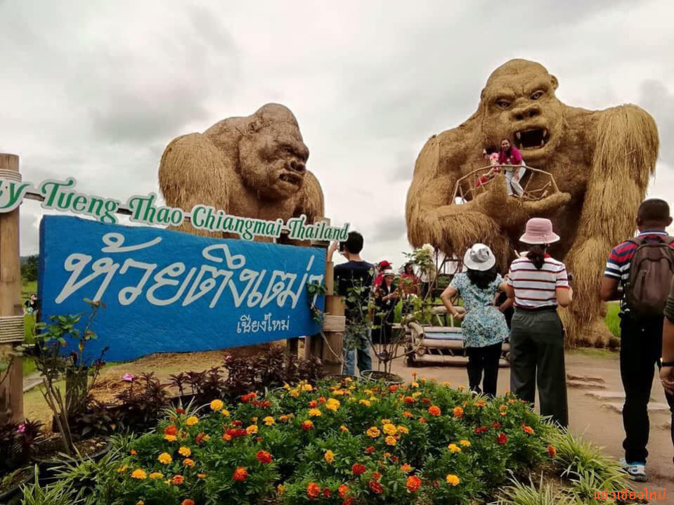 ห้วยตึงเฒ่า